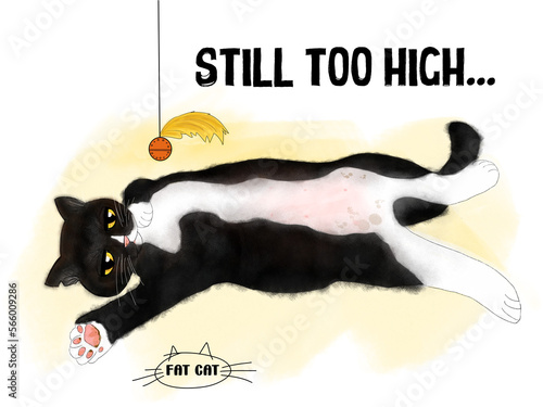 A lazy fat black and white cat lying on the floor playing with a toy, saying the toy is still too high.