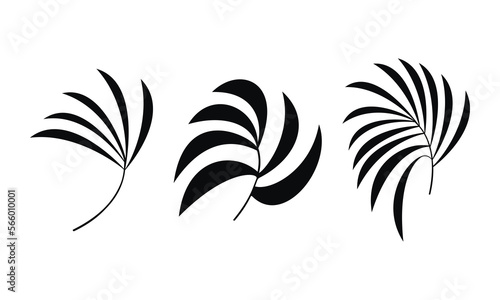 Set of vector hand drawn tropical branches. Flat black palm leaves icon isolated. Minimal botanical illustration. Floral design for print  background  banner  card  wall art poster  logo  brochure.