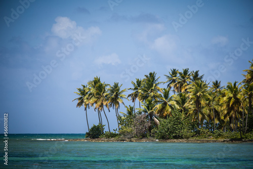 Fototapeta Naklejka Na Ścianę i Meble -  Wide angle view of the sea and beach in Playa Fronton in LAs Galeras, Dominican Republic. Turquoise blue sea, palms, tropical summer mood.