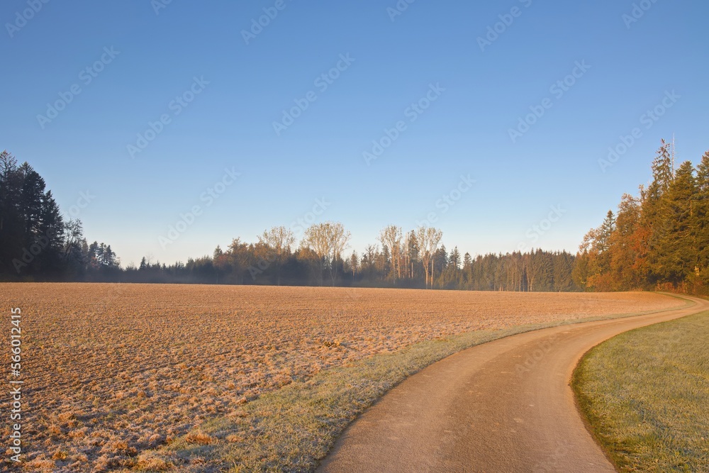Naklejka premium Ackerfeld im Herbst