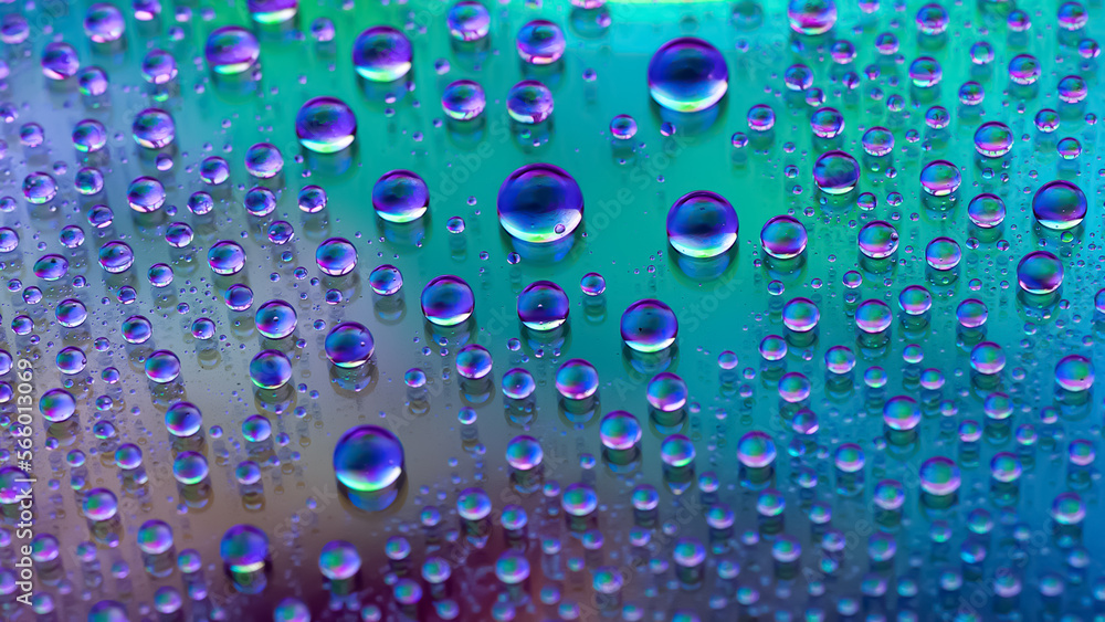Water drops. Abstract gradient background. Droplet texture. Iridescent gradient. A highly textured image. Small depth of field. Selective focus