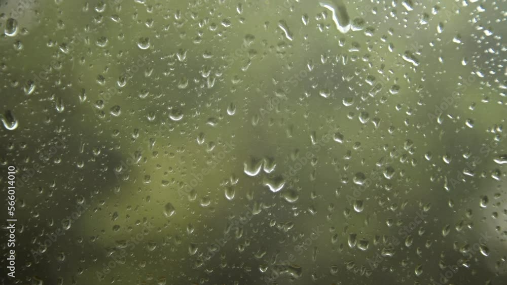raindrops sliding down on a window with green bushy background raindrops sliding down on a window with green bushy background
