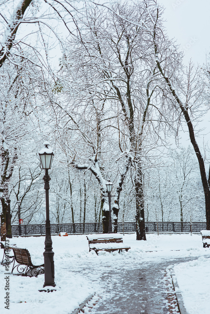 Beautiful white winter park view after snowfall with lanterns, footpath, snow-covered trees and benches, magic snowy cozy outdoor cityscape in overcast day, vertical orientation