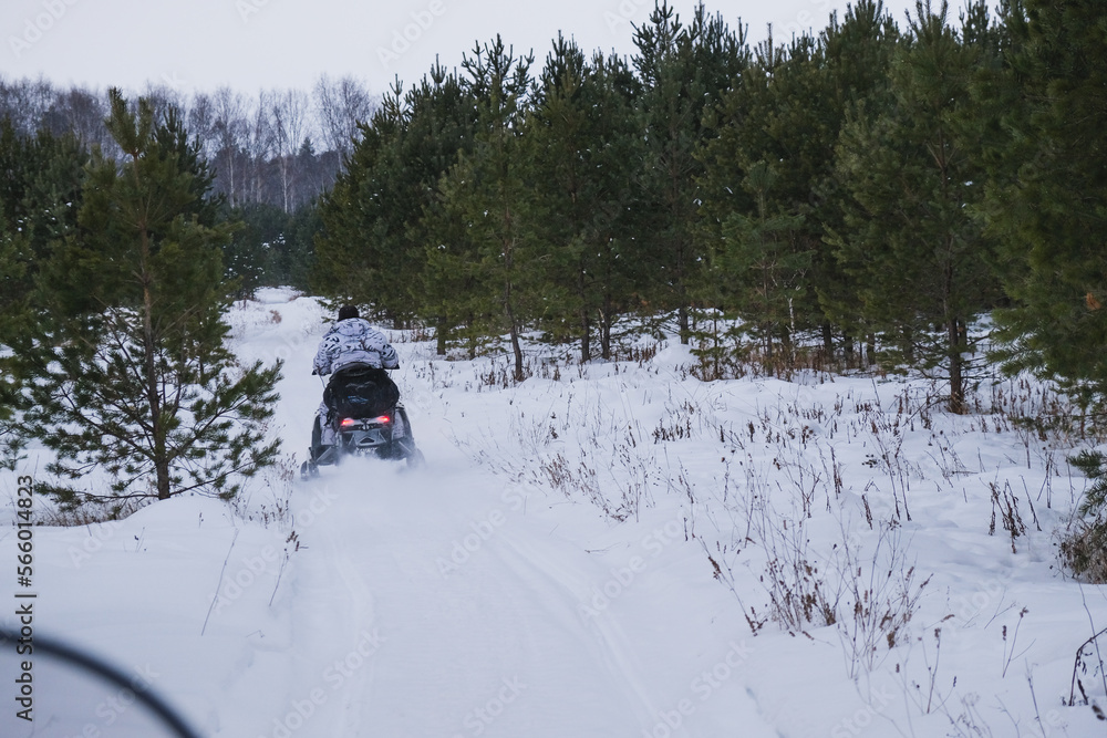 Fototapeta premium Hunters on snowmobiles ride in the winter forest