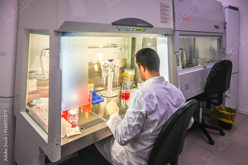 The researcher's work with cell culture in a laminar box.