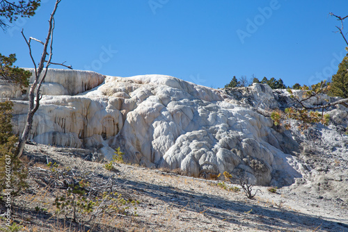 Mammoth hot springs photo