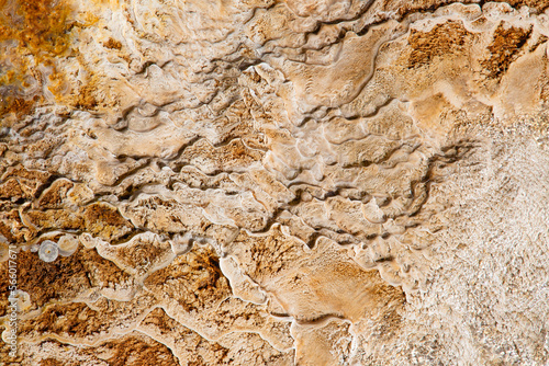 Mammoth hot springs photo