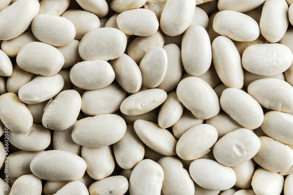 White beans texture background. Organic kidney beans pattern. Top view, close-up. Healthy food concept.