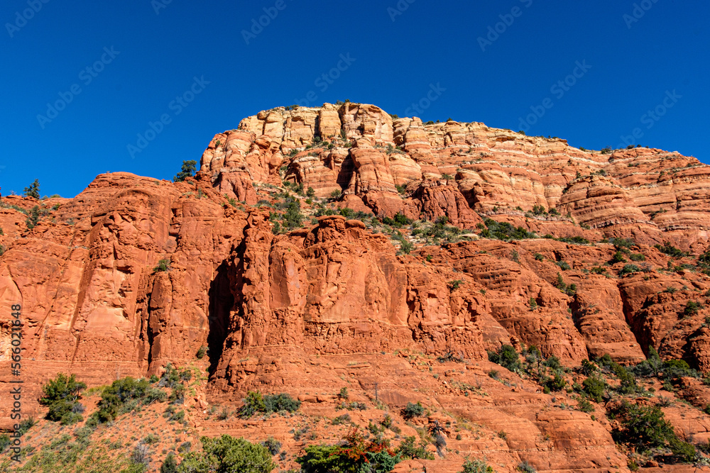 Fototapeta premium Sedona Red Rocks52