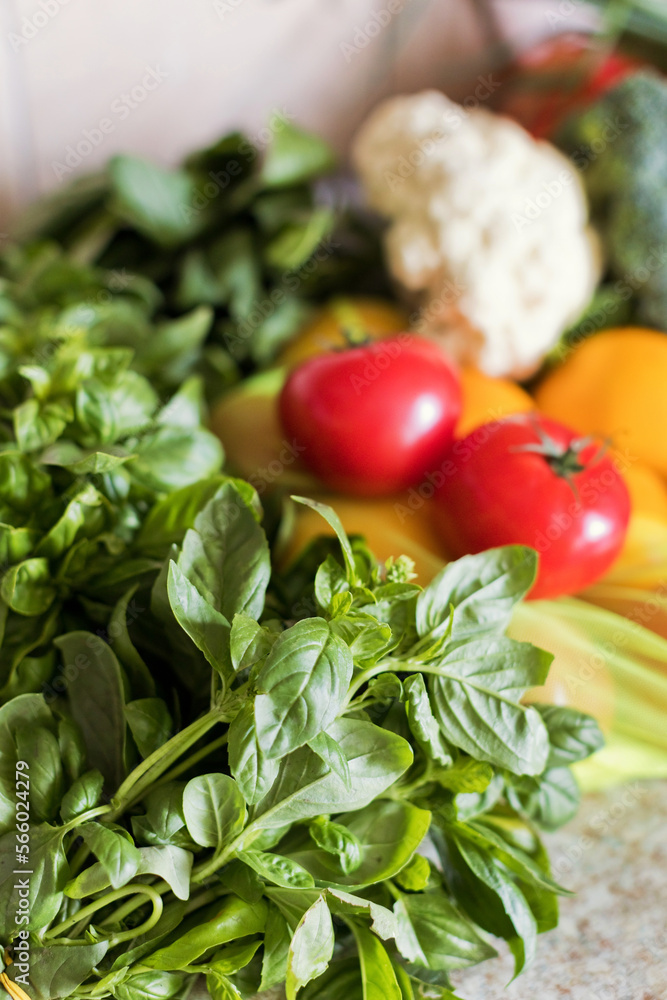 Various vegetables in textile eco bags