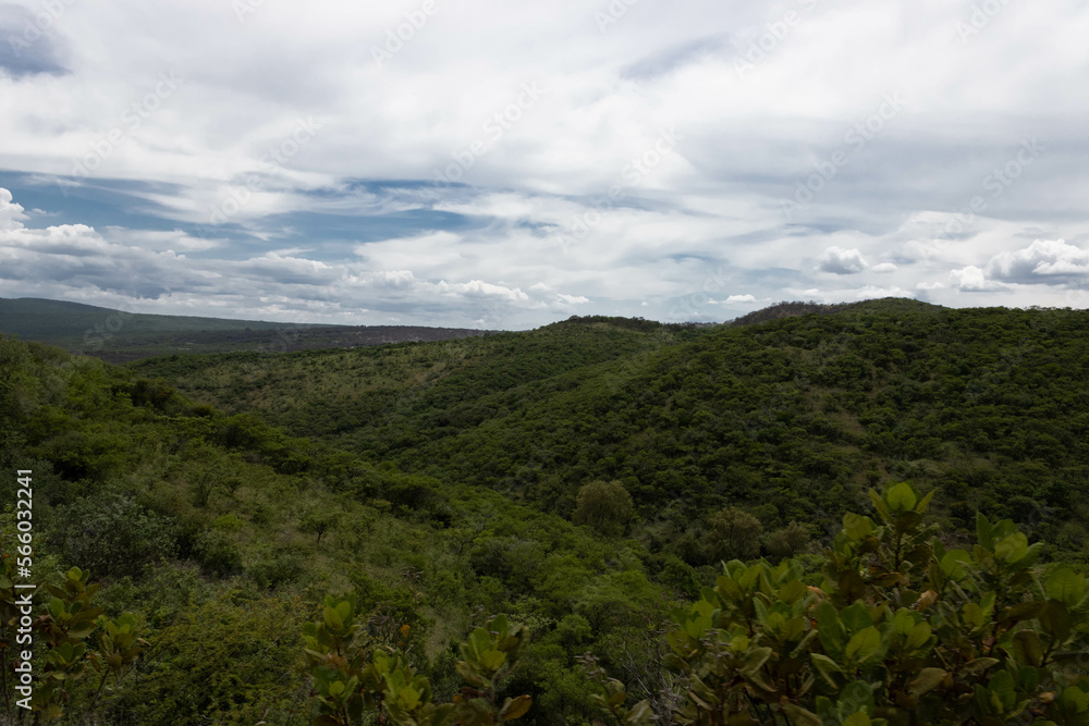 Fototapeta premium cielo nublado en cerro verde 