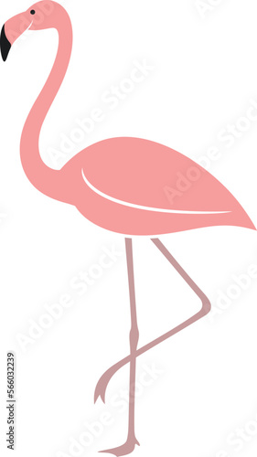 Flamingo logo. Isolated flamingo on white background