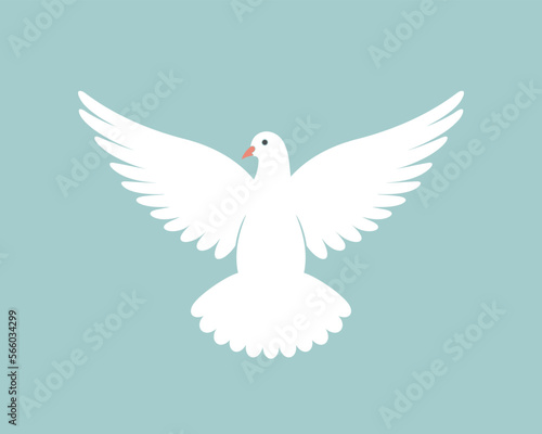 Dove logo. Isolated dove on white background. Bird