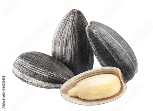 Delicious sunflower black seeds cut out