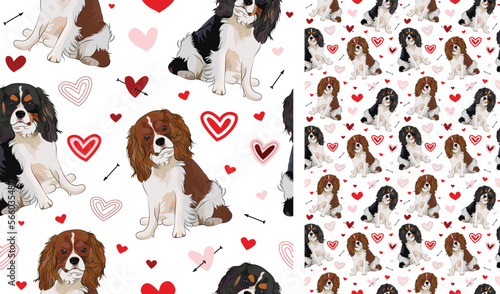 Cavalier king charles spaniel dog Valentine's day heart wallpaper. Love doodles hearts with pets holiday texture. square background, repeatable pattern. St Valentine's day wallpaper, valentine present