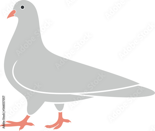 Dove logo. Isolated dove on white background. Bird