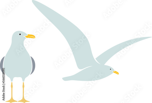 Seagull logo. Isolated seagull on white background. Bird
