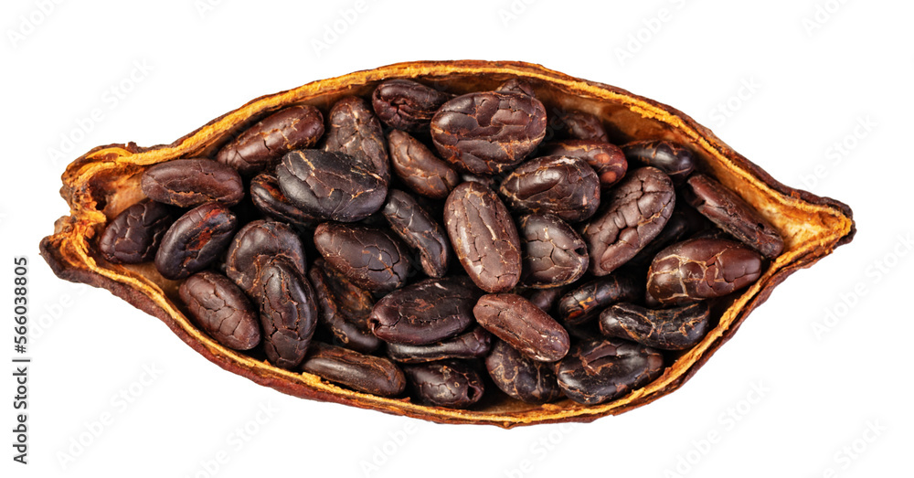 Cocoa pod Cocoa pod