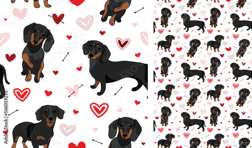 Dachshund dog Valentine's day heart wallpaper. Love doodles hearts with Doxie pets holiday texture. square background, repeatable pattern. St Valentine's day wallpaper, valentine present, print tiles.