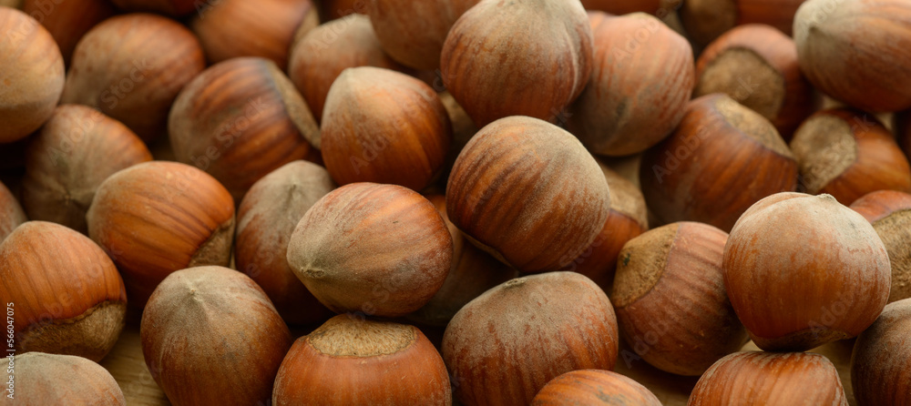 beautiful hazelnuts on a wooden background close-up beautiful hazelnuts on a wooden background close-up