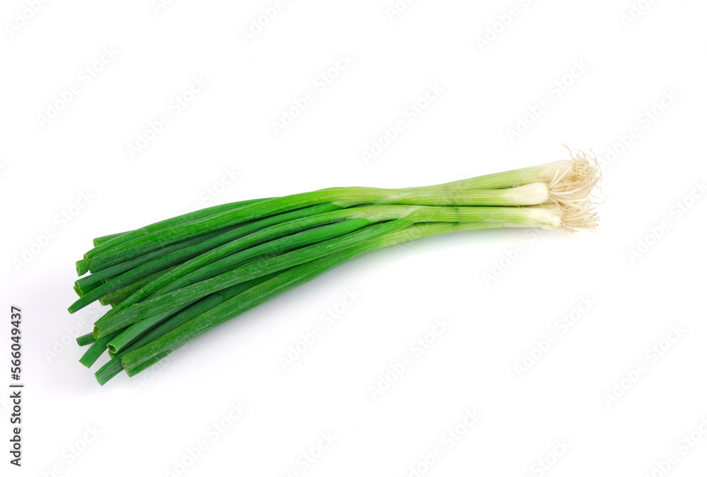 a bunch of green onion isolated on the white background a bunch of green onion isolated on the white background