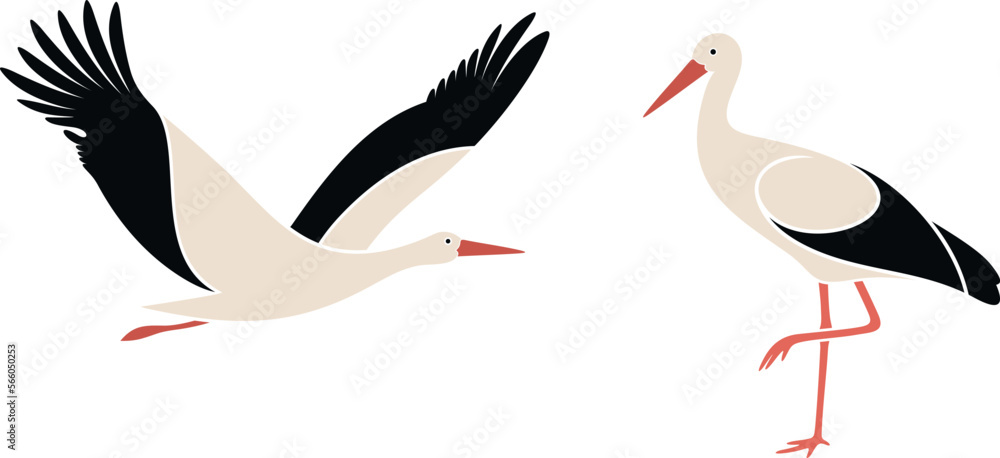 Tableau sur toile Stork set. Isolated stork on white background