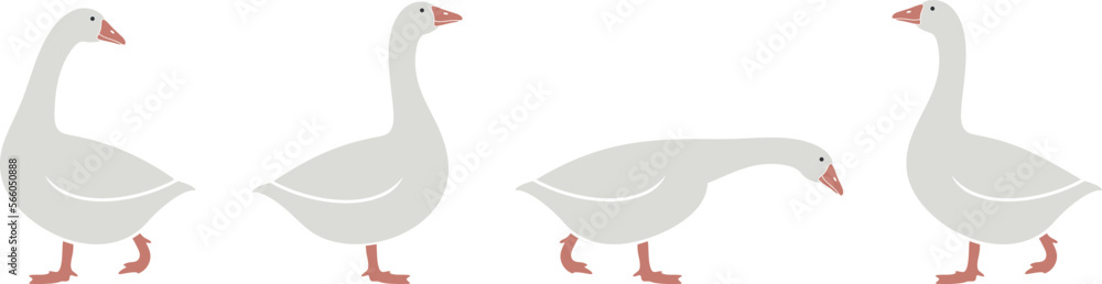 Φωτογραφία Goose logo. Isolated goose on white background. Bird