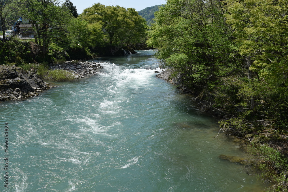 Obraz premium 雪解け水 早春の渓流