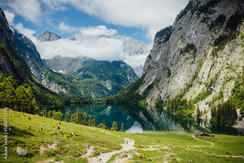 Alpen