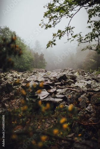 Alpen