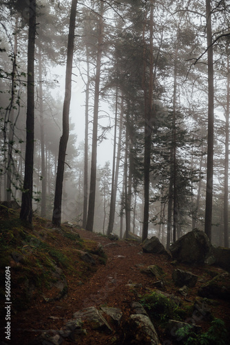 Alpen