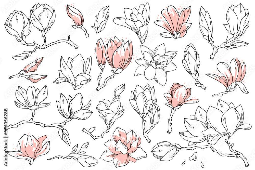 Magnolia flowers and leaves in line art style icons set. Contemporary floral design. Spring flowers blossom Magnolia flowers and leaves in line art style icons set. Contemporary floral design. Spring flowers blossom