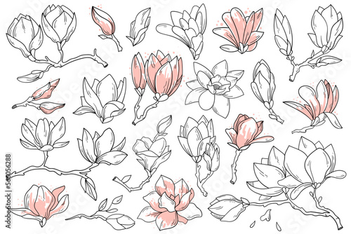 Magnolia flowers and leaves in line art style icons set. Contemporary floral design. Spring flowers blossom