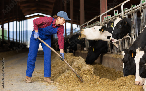 Foto Positive young woman farmer worker in uniform leveling hay with rake while feedi