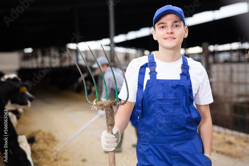 Young boy farmer in overalls posing while feeding cows at dairy farm