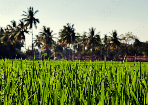 Photography Somewhere while travelling in Magical India