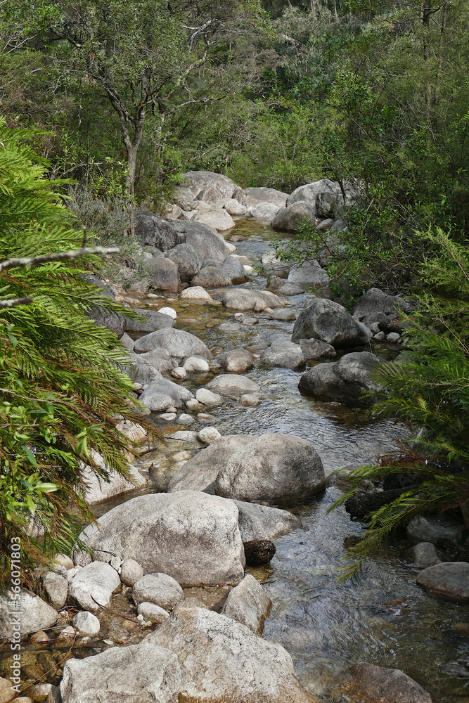 Eurobin Falls in the Alpine region of Mt Hotham Victoria Eurobin Falls in the Alpine region of Mt Hotham Victoria