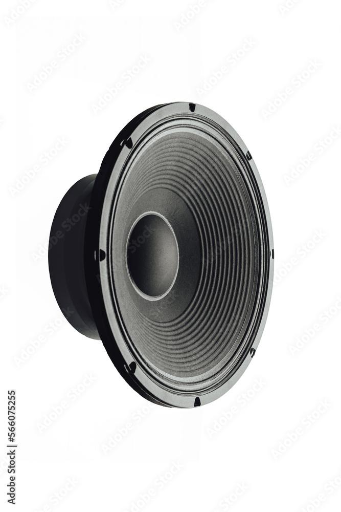 low frequency loudspeaker for subwoofer speaker, isolated on white