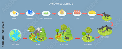3D Isometric Flat Vector Conceptual Illustration of Living World Biosphere, Labeled Ecosystem Explanation Scheme Outline photo