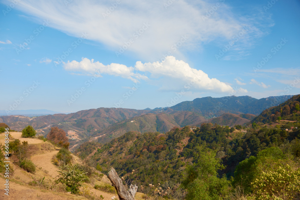 Obraz premium landscape with blue sky and forested mountains