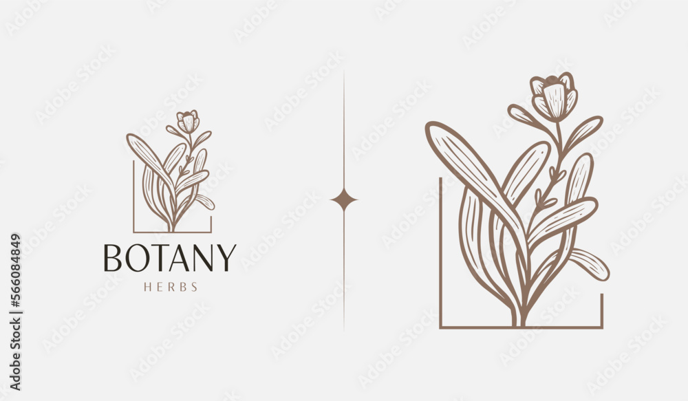 Fototapeta premium Abstract Plant Botanical Flower Line Art Line Drawing. Universal creative premium symbol. Vector illustration. Creative Minimal design template