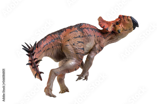 Protoceratops    dinosaur on  isolated background