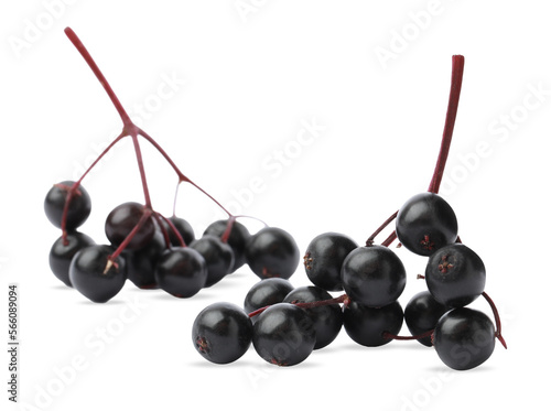 Delicious ripe black elderberries isolated on white