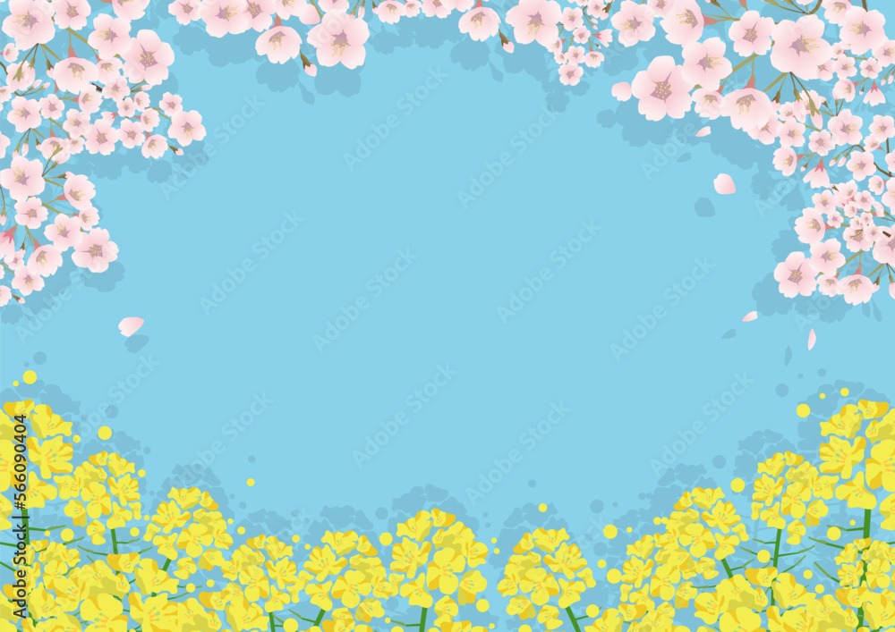 Fototapeta premium 菜の花と桜の花がかわいい春のフレーム