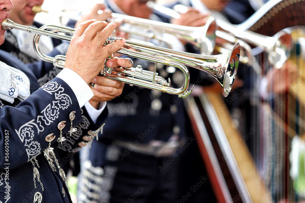 Obraz premium Mariachi, musicos mexicanos.