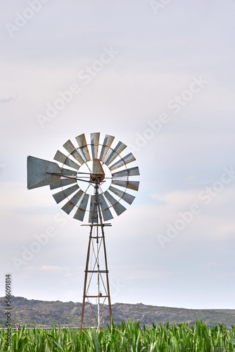 Aged Windmill in a Sea of Green Cornfields with a Bright White Sky