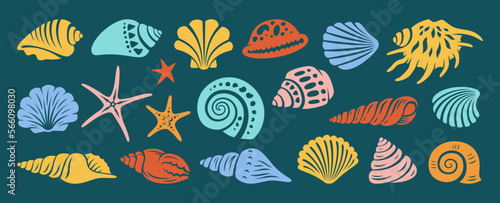 Sea shell, sink cartoon engraving set. Ocean exotic underwater seashell conch aquatic mollusk, sea spiral snail, marine starfish collection. Tropical beach shells aquatic water design illustration