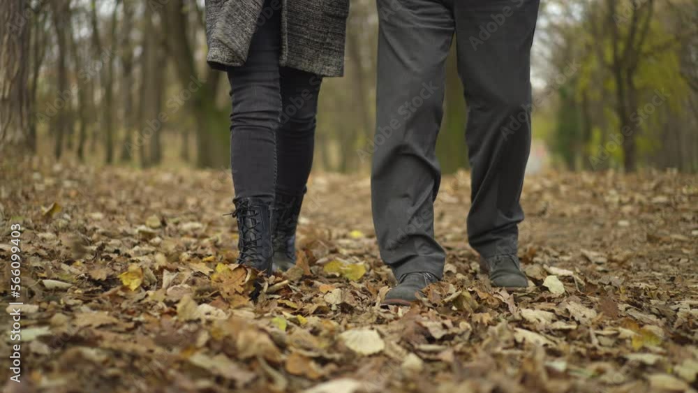 Low view of a beautiful matured couple walking in slow-motion on forest leaves Low view of a beautiful matured couple walking in slow-motion on forest leaves