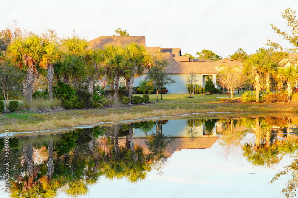 Sun set fall in a tropical pond in winter Sun set fall in a tropical pond in winter