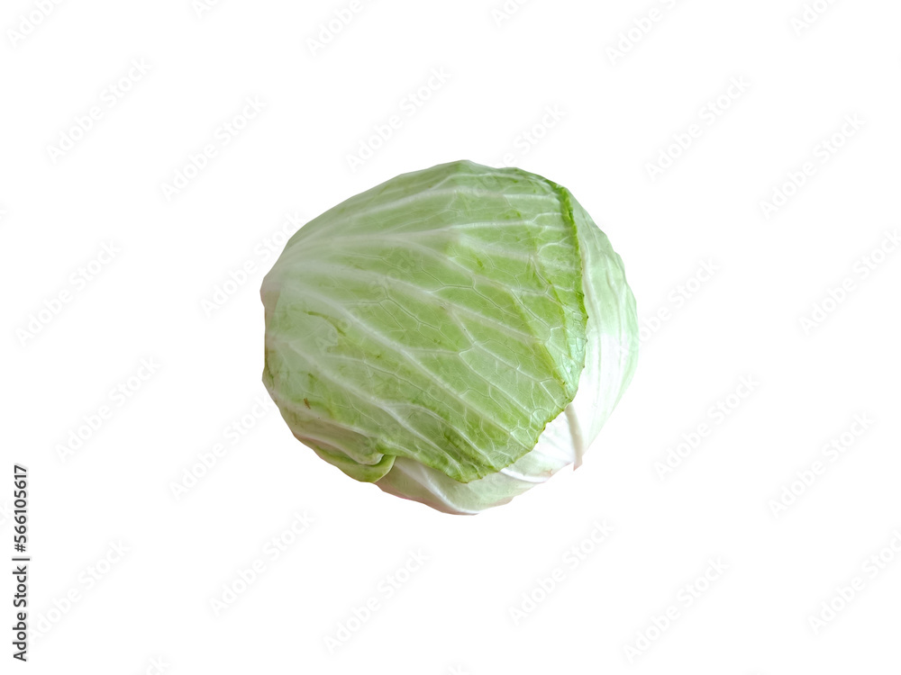 Cabbage on transparent background (Brassica oleracea) Cabbage on transparent background (Brassica oleracea)